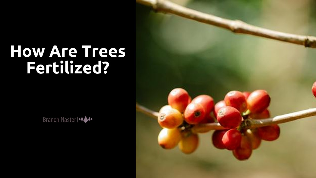 How are trees fertilized?