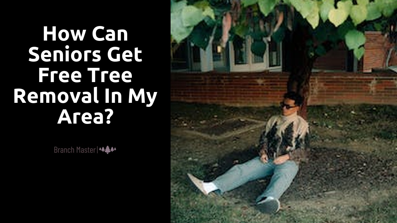 How can seniors get free tree removal in my area?