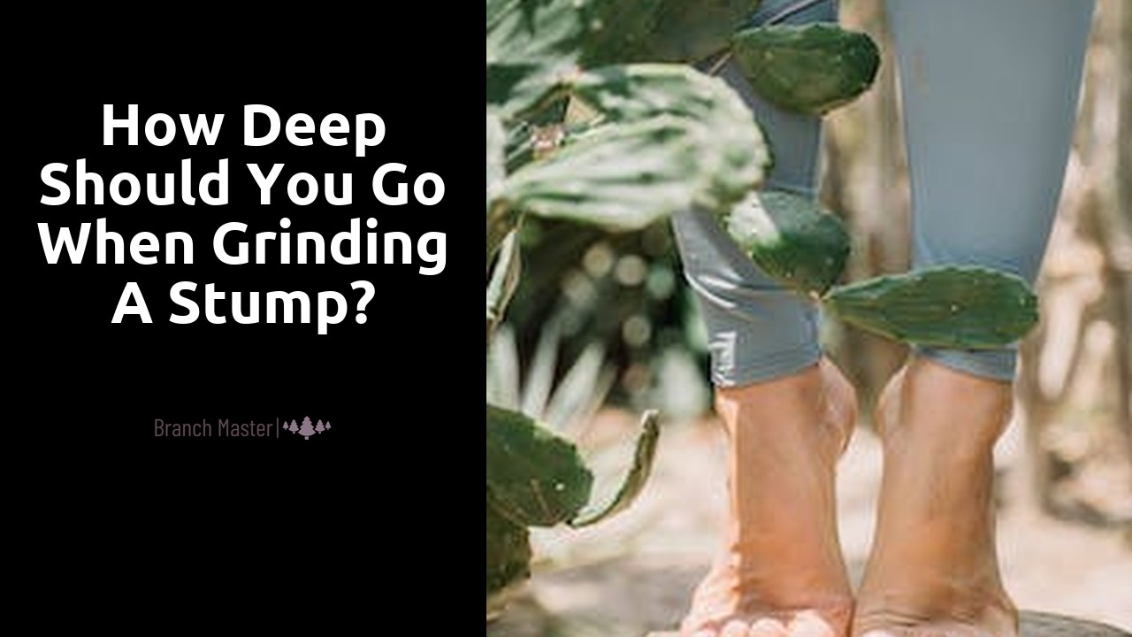 How deep should you go when grinding a stump?