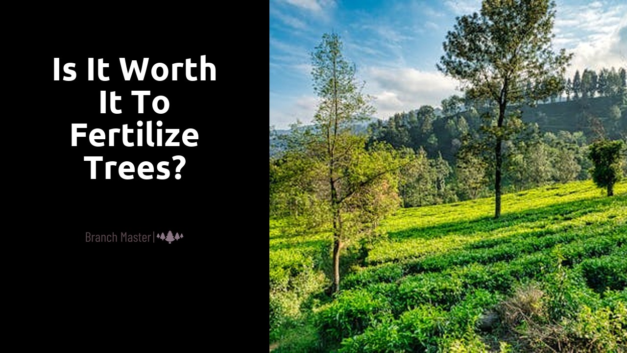 Is it worth it to fertilize trees?