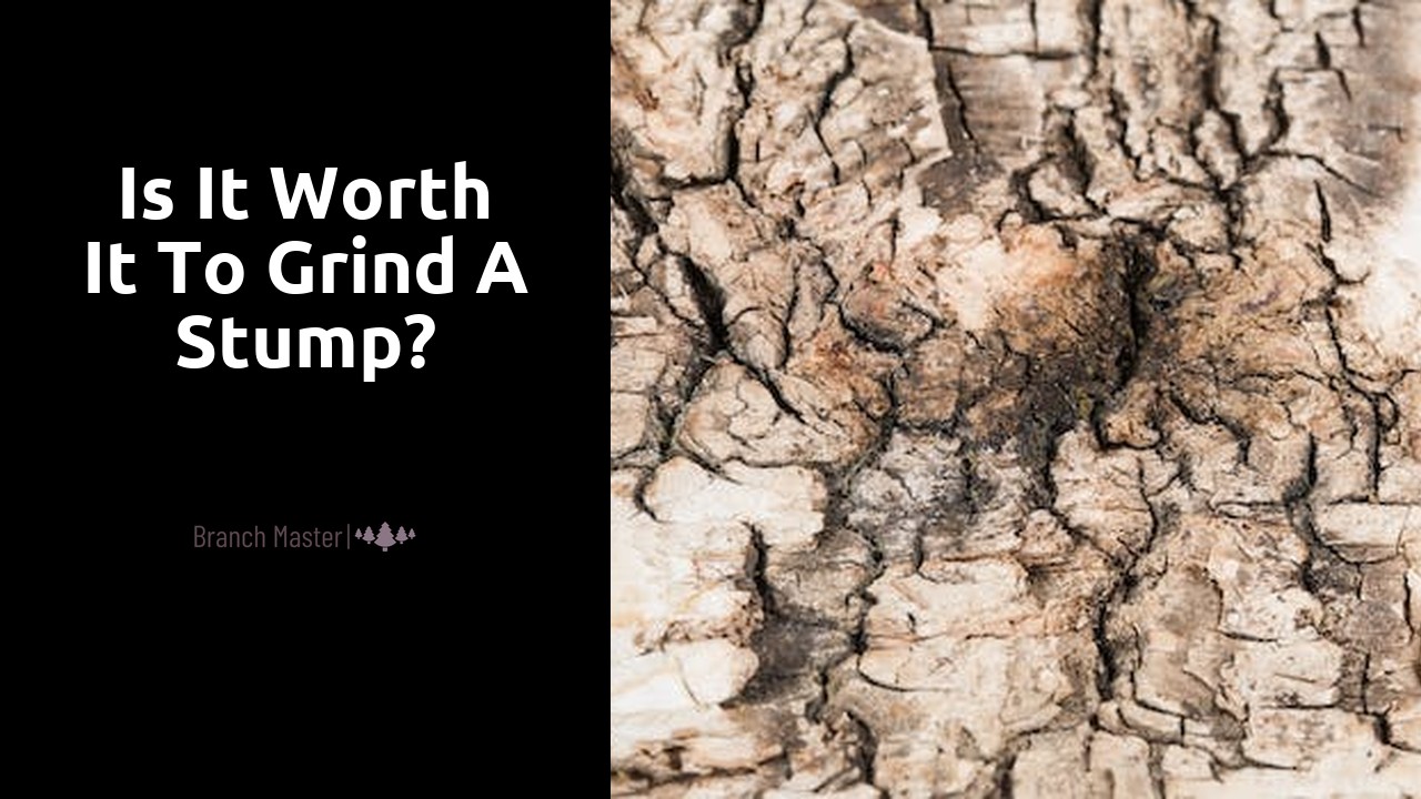 Is it worth it to grind a stump?