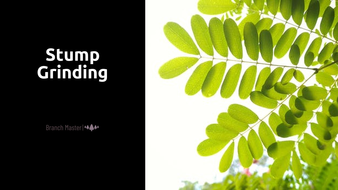 Stump Grinding