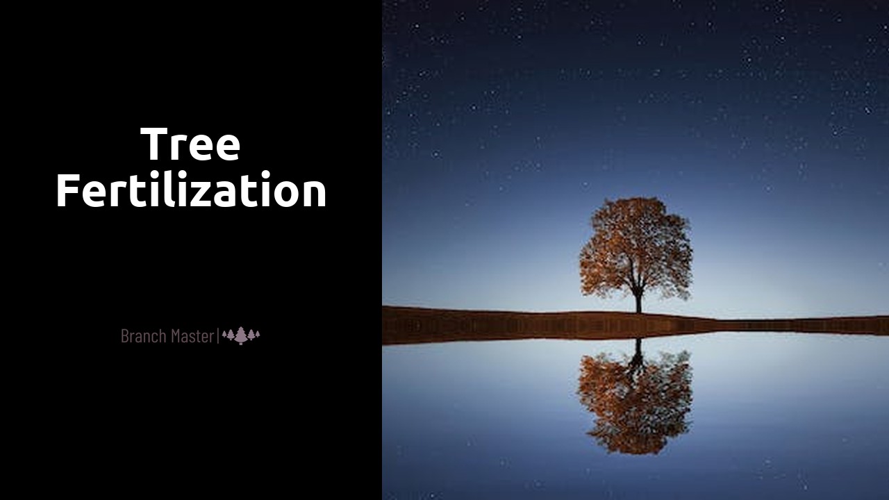 Tree Fertilization