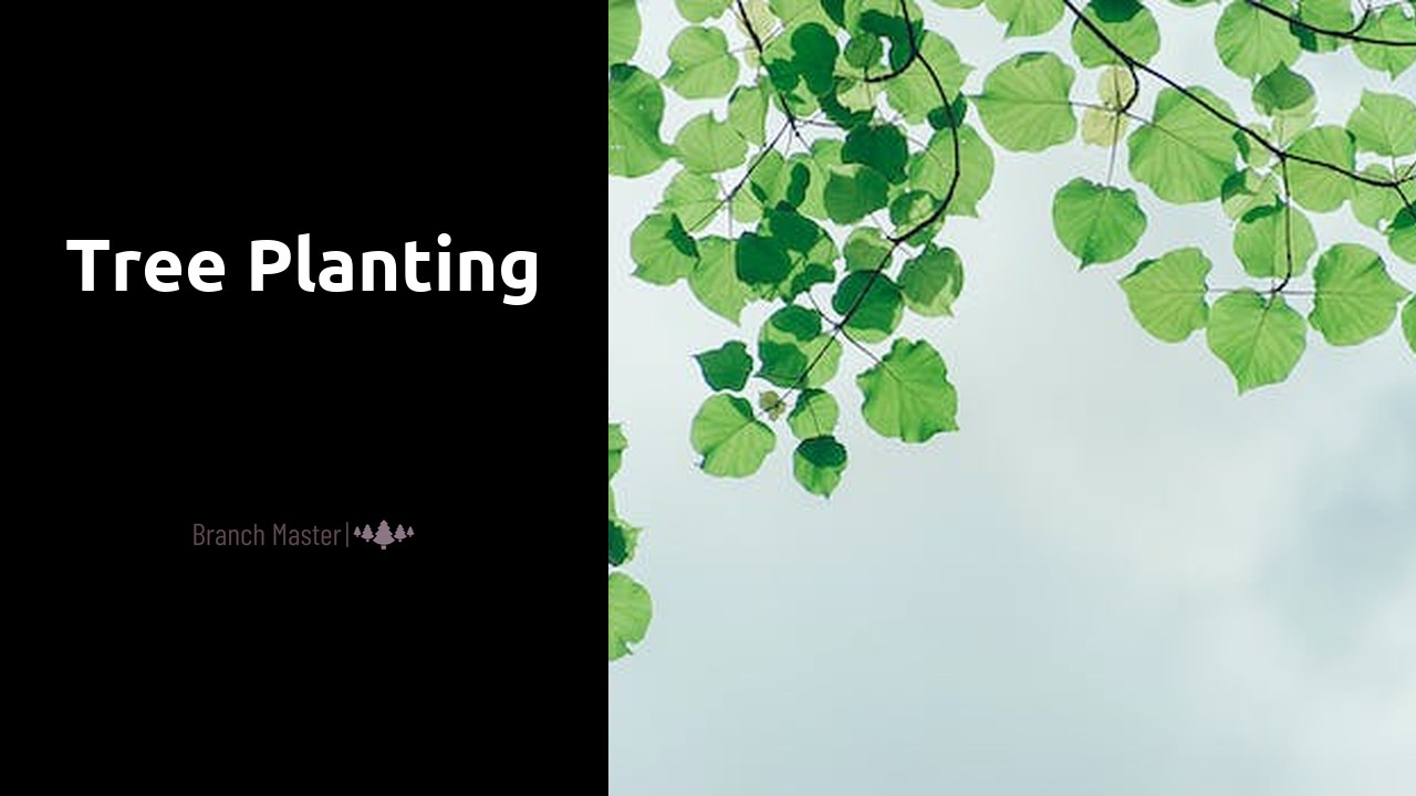 Tree Planting