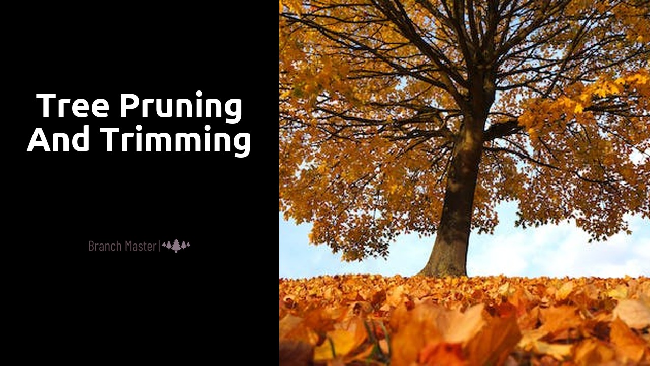 Tree Pruning and Trimming