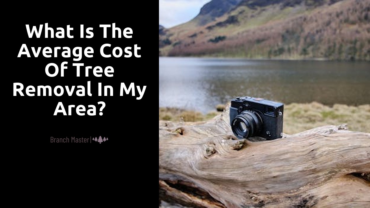 What is the average cost of tree removal in my area?