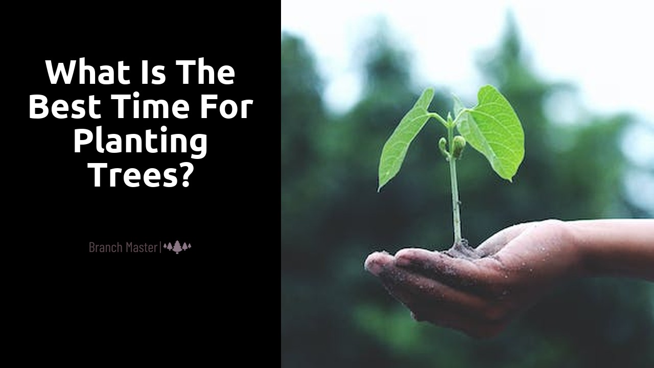 What is the best time for planting trees?