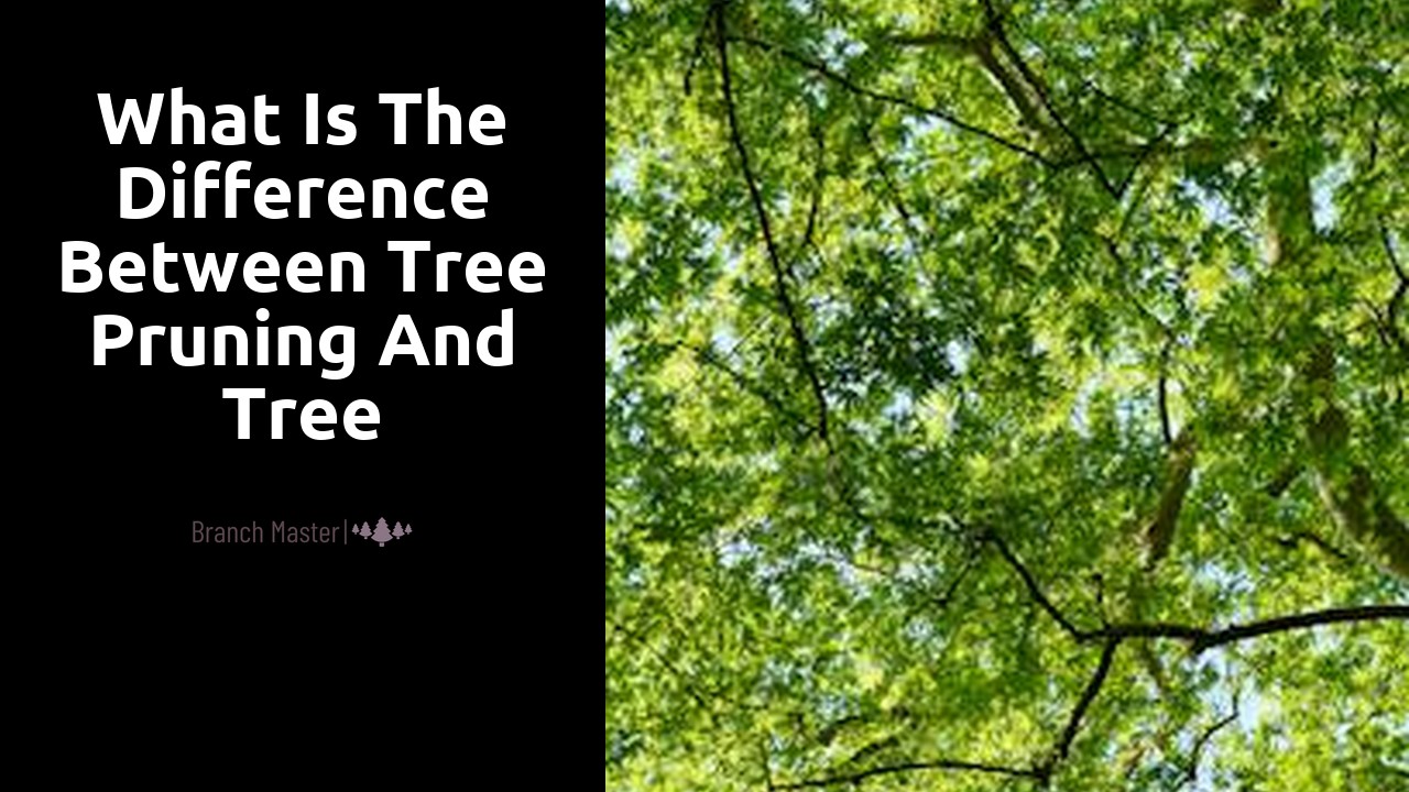 What is the difference between tree pruning and tree trimming?