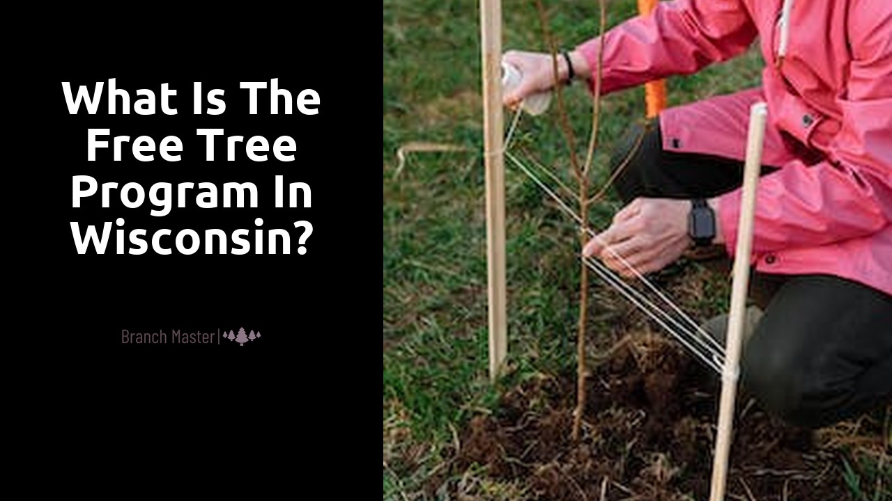 What is the free tree program in Wisconsin?