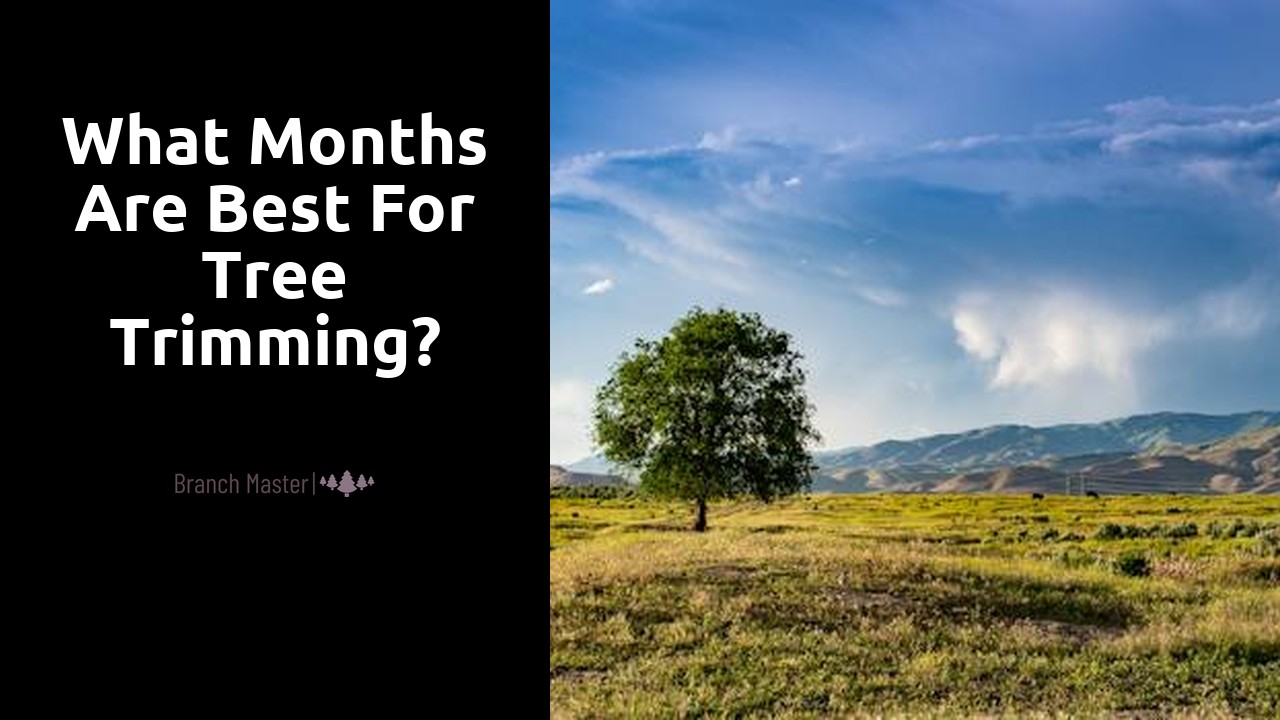 What months are best for tree trimming?