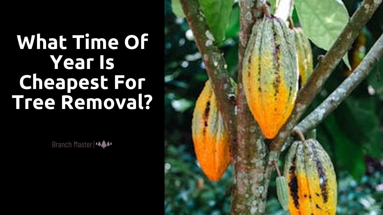 What time of year is cheapest for tree removal?