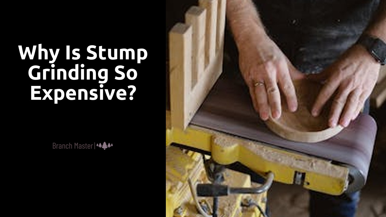 Why is stump grinding so expensive?